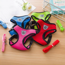 Coleira & Guia Pet Bunit