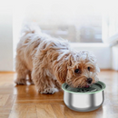 Tigela Anti-respingo Inox 4L