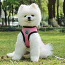 Coleira & Guia Pet Bunit