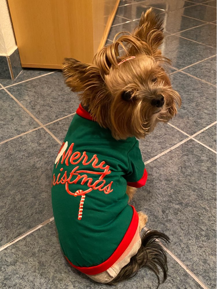 Blusa Pet Noel