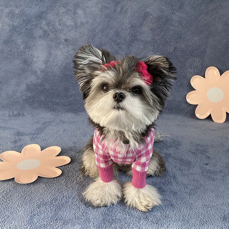 Tricot Pet Beju