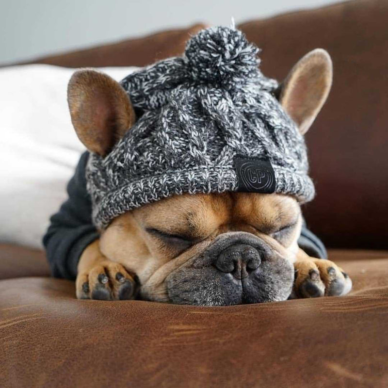 Gorro Pet Will