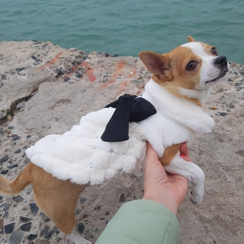 Roupinha Pet Elegancy