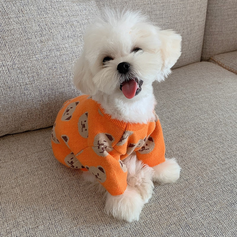 Suéter Teddy Orange