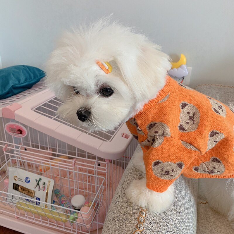 Suéter Teddy Orange