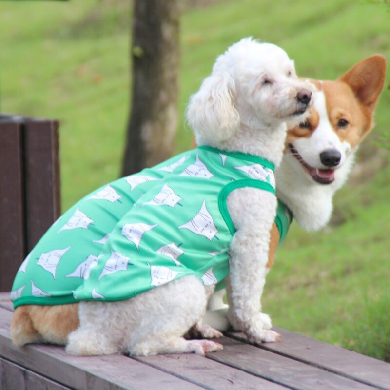 Blusa Pet Romeo