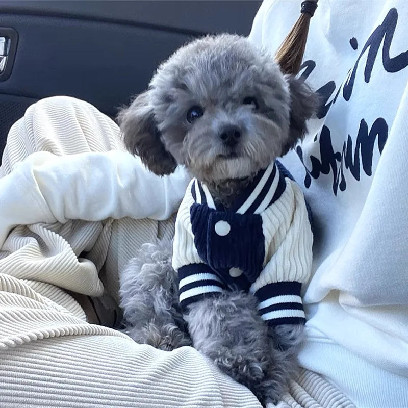 Jaqueta Pet Outfit