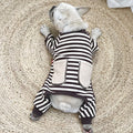 Macacão Pet Pierre