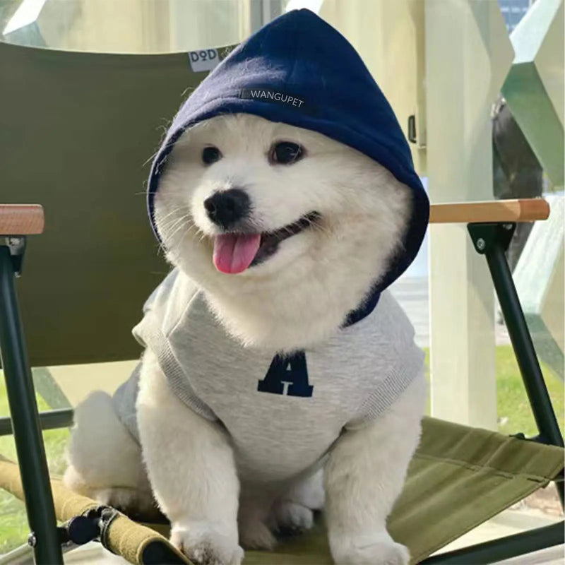 Moletom Pet Hodie