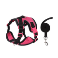 Coleira Pet & Guia Royale