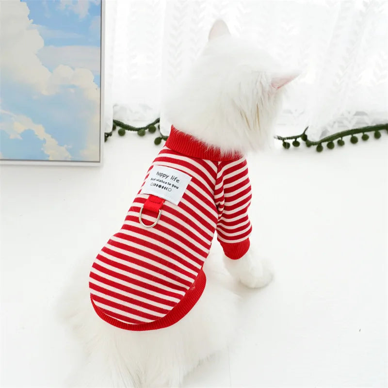 Moletonzinho Pet Trussi