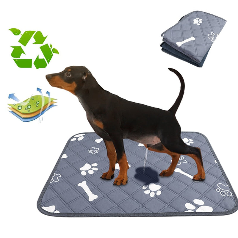 Almofada Absorvente&Reutilizável Bigu