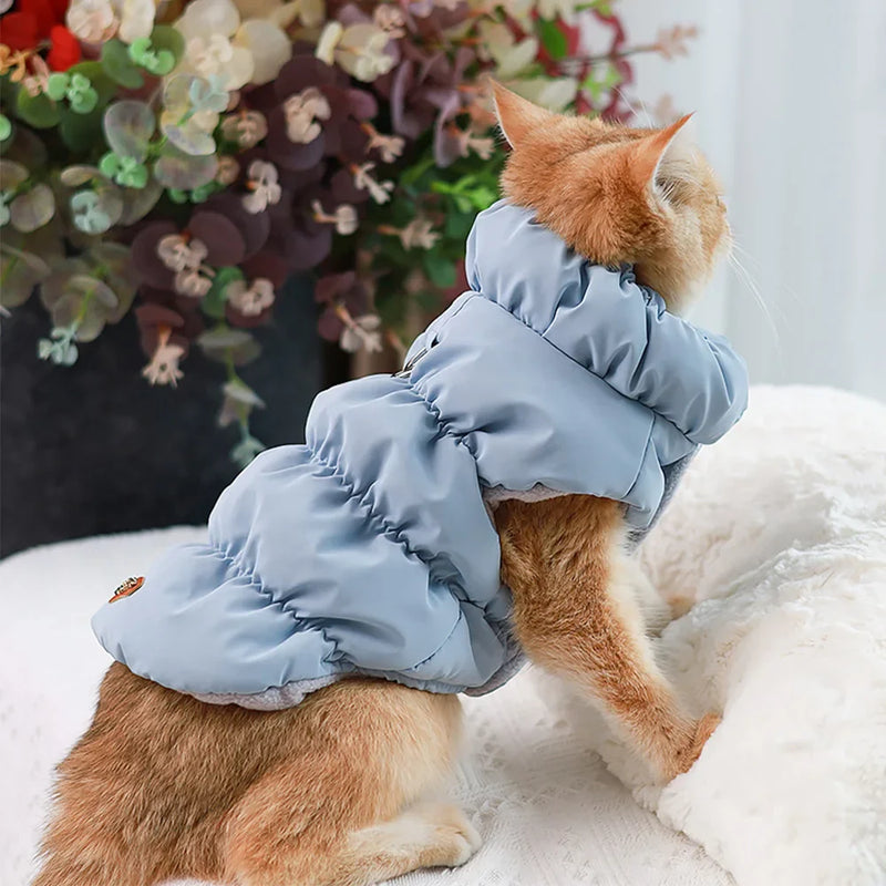 Colete Pet Phyni