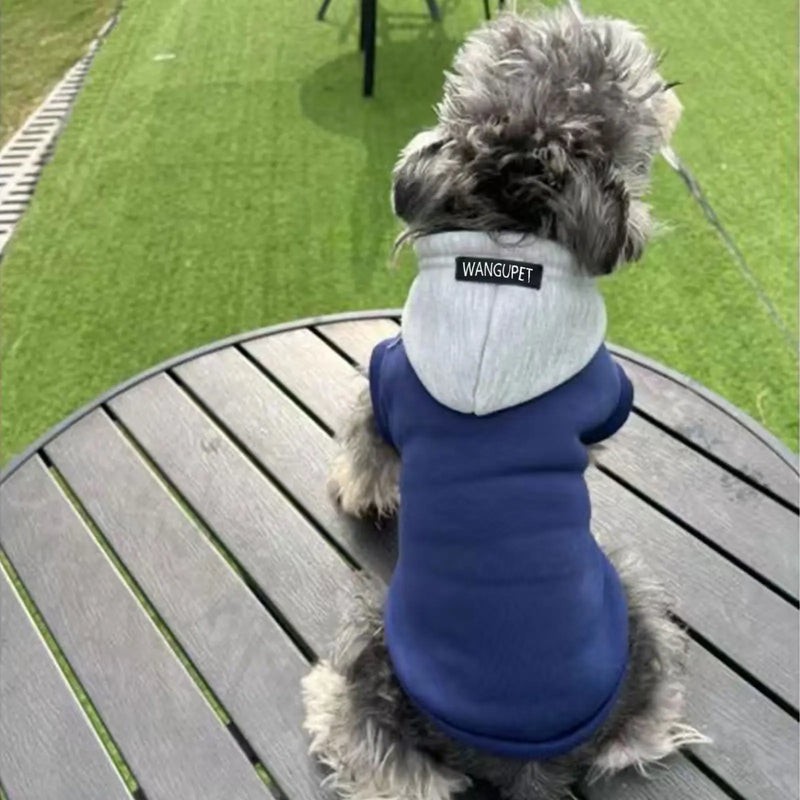 Moletom Pet Hodie