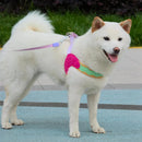 Coleira Pet Anti-puxão Pawslove