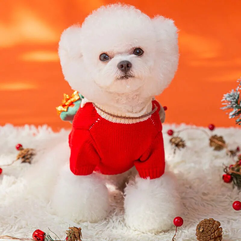 Tricot Pet Adorável de Natal