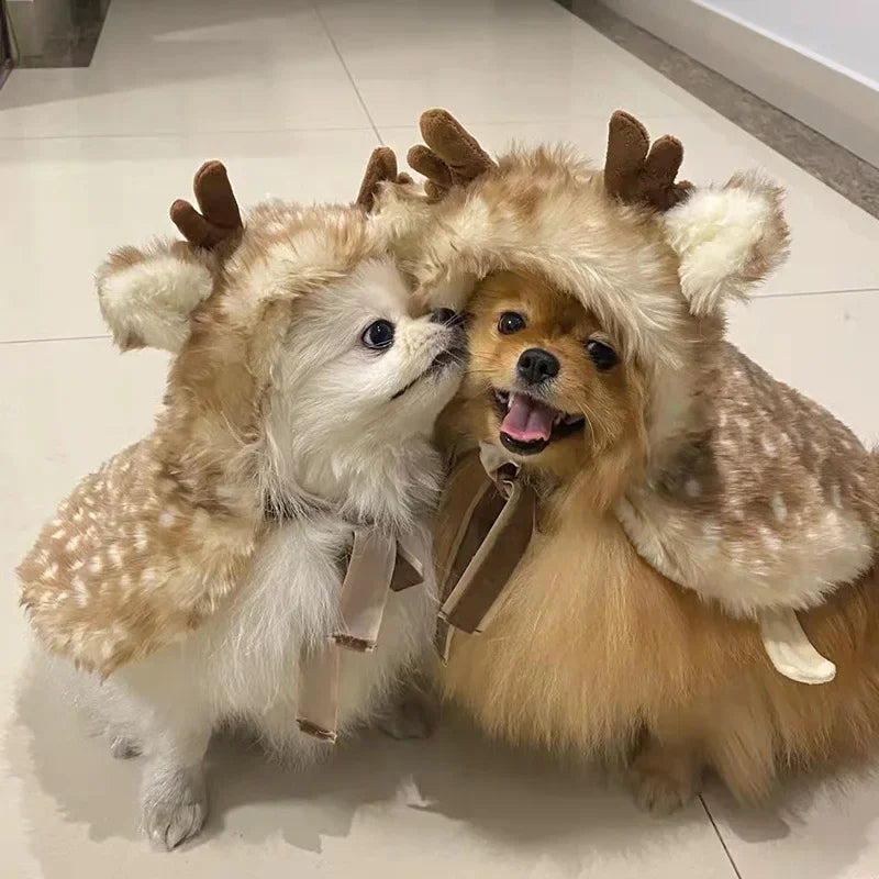 Poncho Pet Reninha