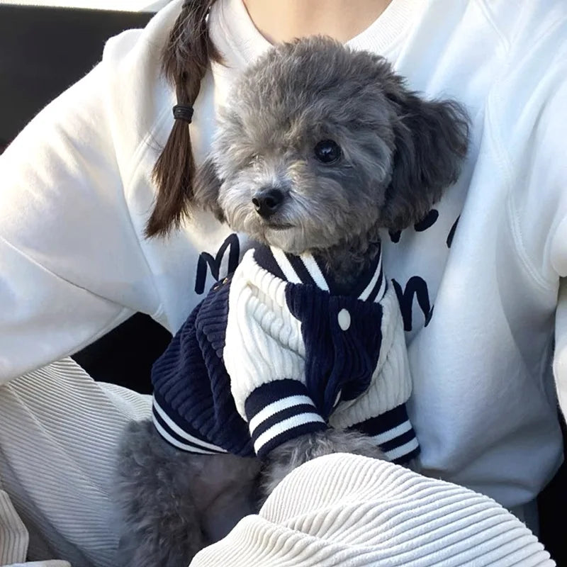 Jaqueta Pet Outfit