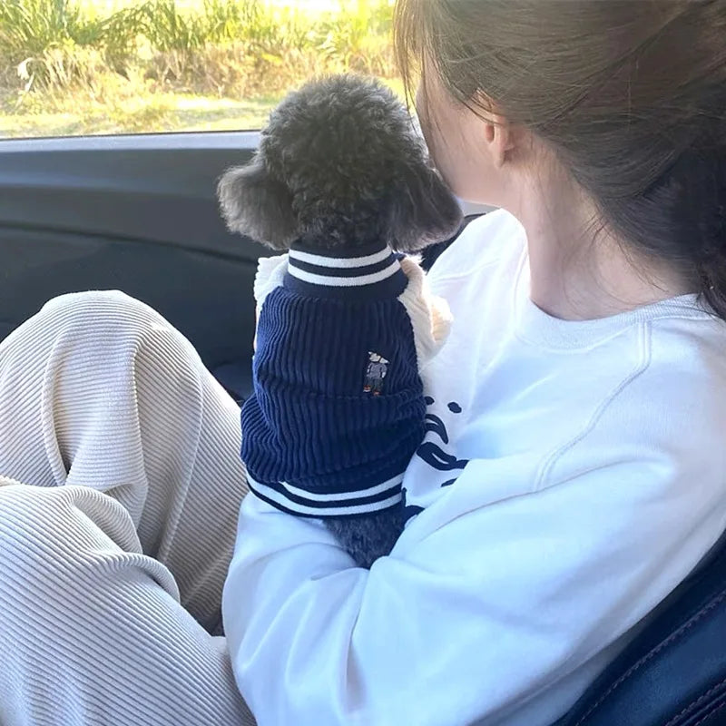 Jaqueta Pet Outfit