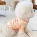 Blusinha Pet Montivi