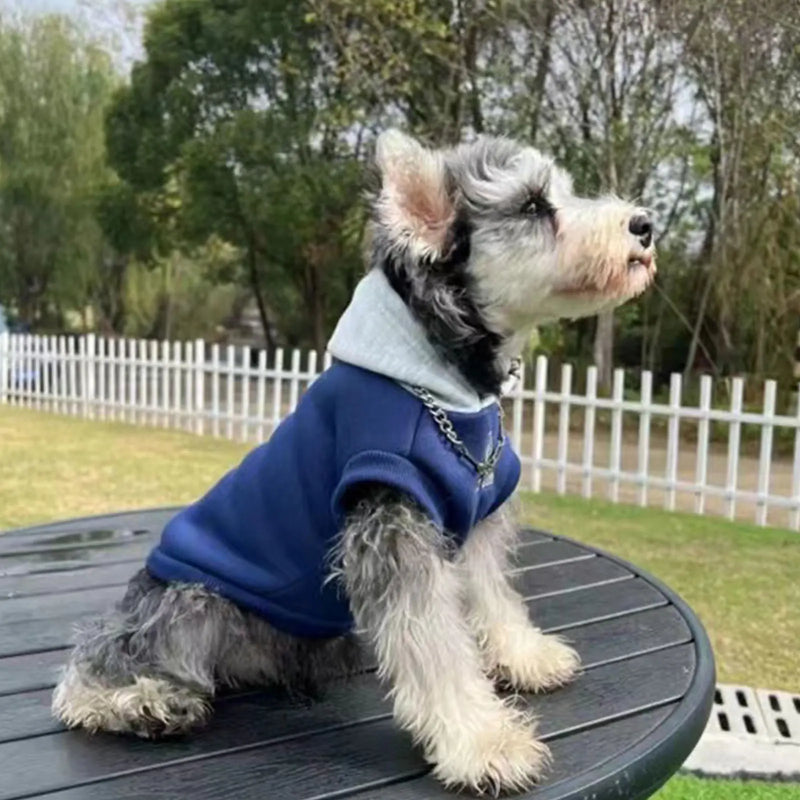 Moletom Pet Hodie