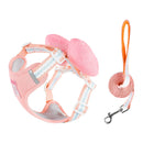 Coleira & Guia Pet Cutie