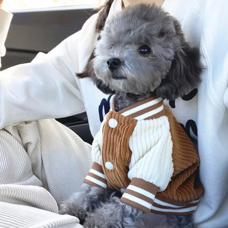Jaqueta Pet Outfit