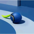 Bolinha Pet Com Rolamento Automático Train