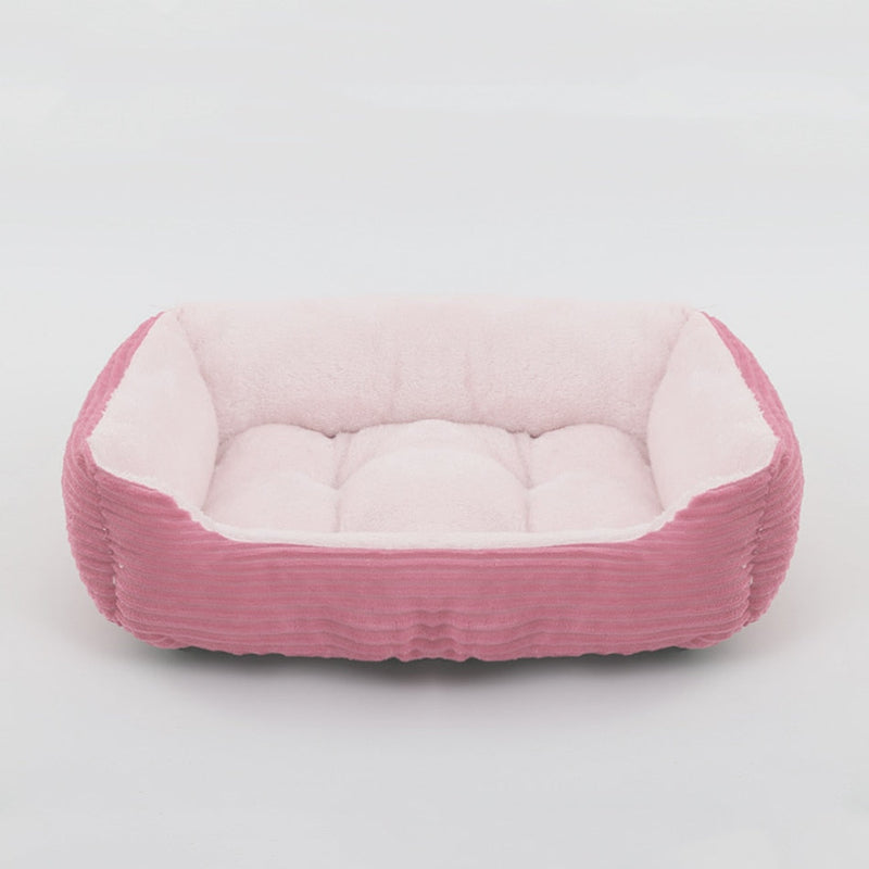 Caminha Pet Cobazi