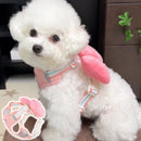 Coleira & Guia Pet Cutie