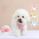 Coleira & Guia Pet Cutie